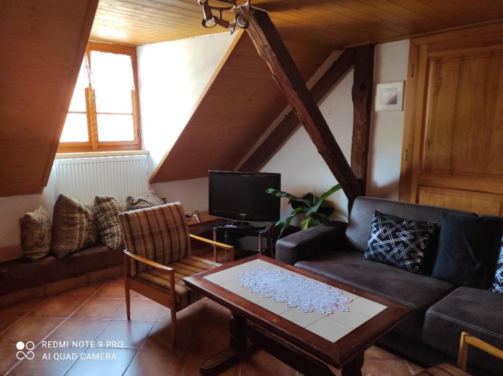 Apartmán pod Sříbrnou horou Lhenice Exterior foto